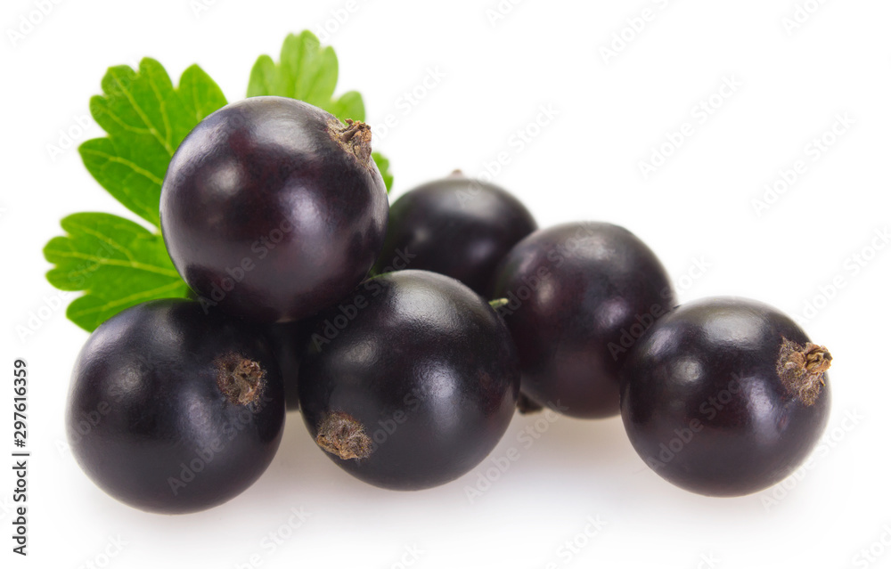 Black currant on white background Black currant on white background