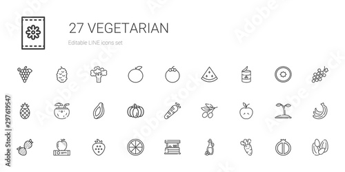 vegetarian icons set