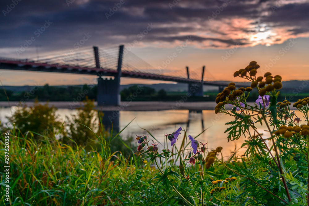 Fototapeta premium Kwidzyn, Poland. Brige over Vistula river 