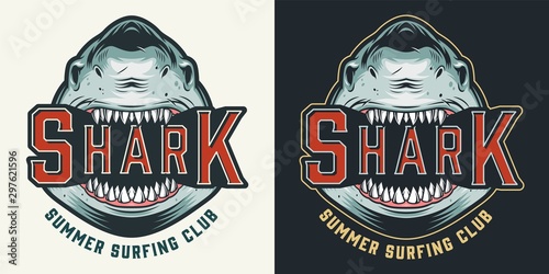 Colorful summer surfing club vintage emblem