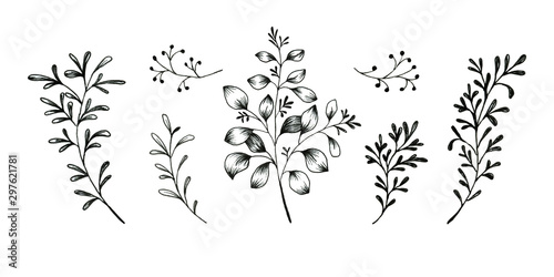 Floral doodle set of leaves isolated on white background.
