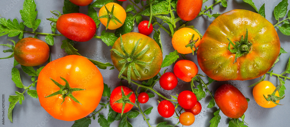 Food.vegetables .The composition of fresh tomato and leaves on a light blue background with a copy space.The pattern of the frame.Flat lay top view Food.vegetables .The composition of fresh tomato and leaves on a light blue background with a copy space.The pattern of the frame.Flat lay top view