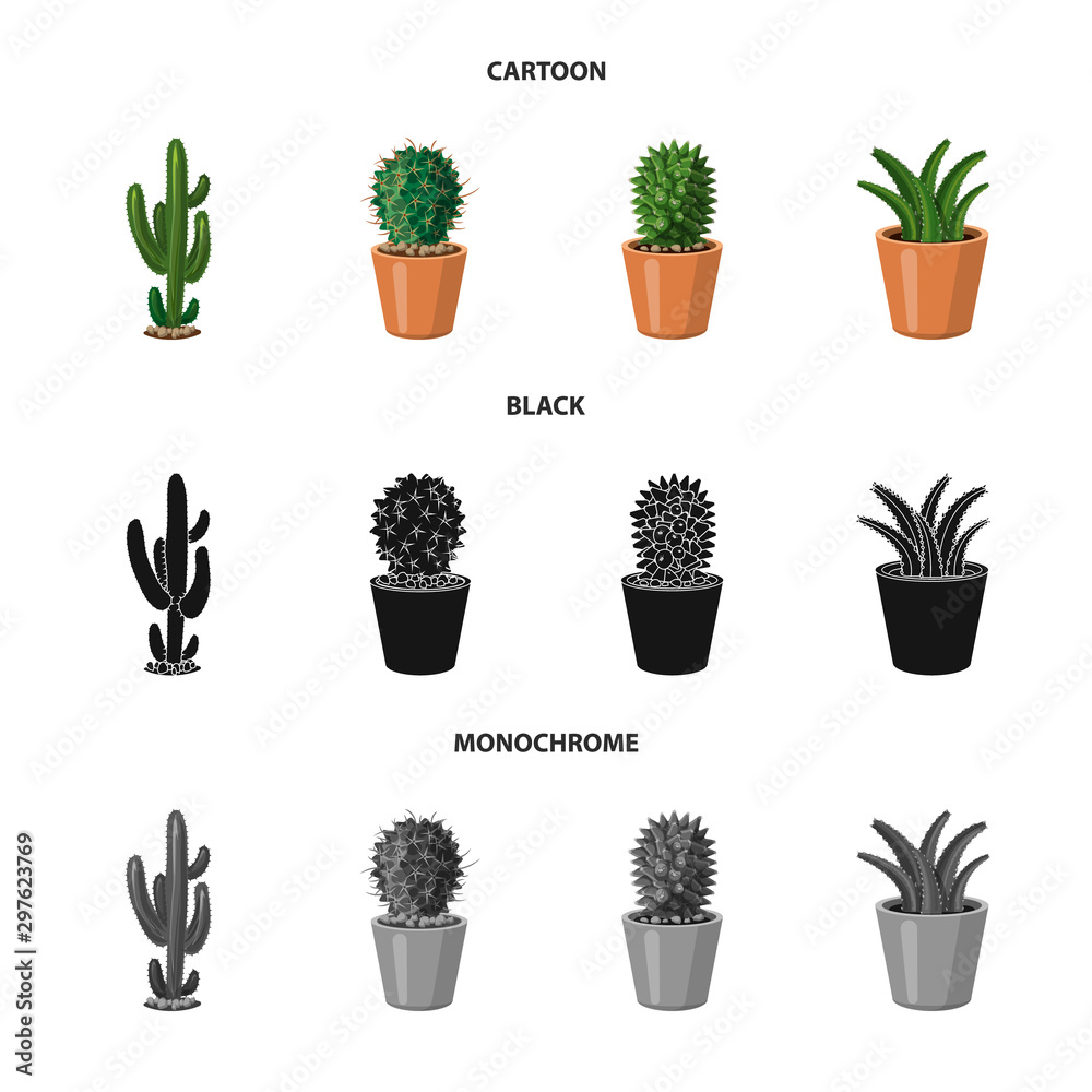 Fototapeta Vector design of cactus and pot symbol. Set of cactus and cacti stock symbol for web.