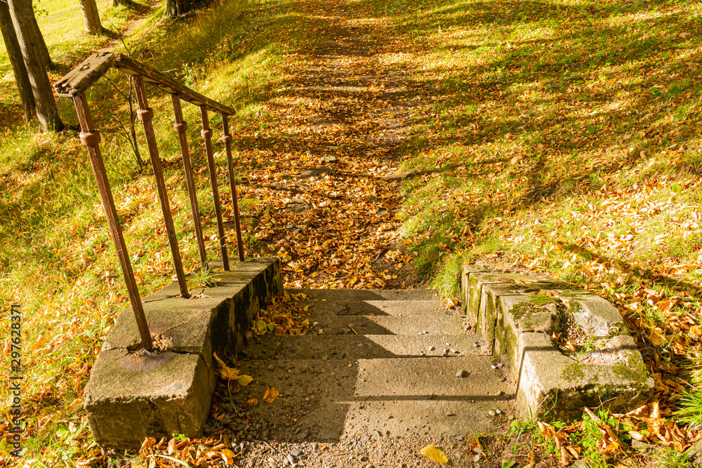 Obraz premium Green fresh forest outdoor scenery landscape ground trail and small narrow stone bridge path way