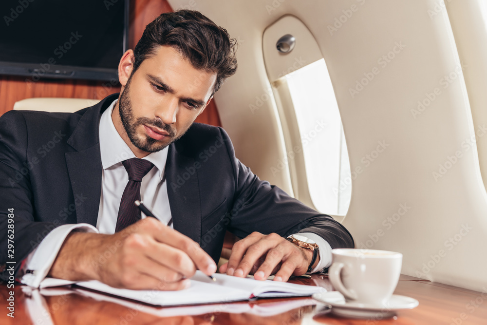 handsome businessman in suit writing in notebook in private plane handsome businessman in suit writing in notebook in private plane