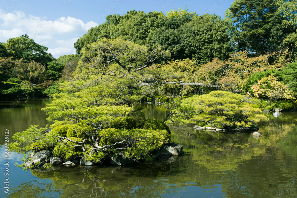 Nature background featuring detail of traditional Japanese garden with green pond and water reflections in Kyoto, Japan