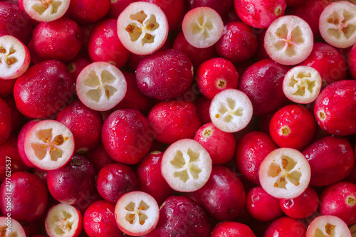 ripe cranberry berries background. abstract texture background with cranberry close-up (filling pattern). layout. cranberries flat lay.