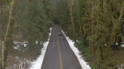 AERIAL: Old SUV drives under the majestic pine trees of Olympic National park in the beautiful Pacific Northwest. Tourists on fun road trip explore the picturesque Hoh Rainforest on a rainy day. photo