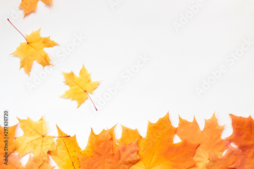 Autumn composition  creative background. Orange leaves fall on white  copy space for text.