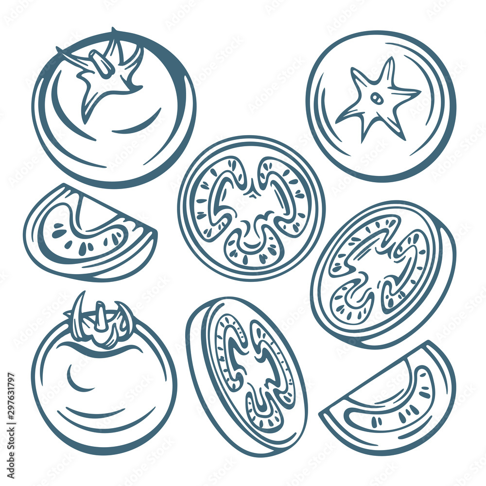 Tomato. Tomato hand drawn vector illustrations set. Tomato sketch graphic. Whole, sliced, quarter and half tomatoes. Tomato. Tomato hand drawn vector illustrations set. Tomato sketch graphic. Whole, sliced, quarter and half tomatoes.