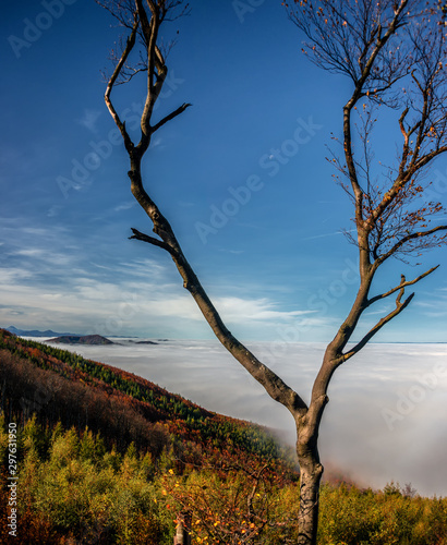 Breathtaking Scenery in Autumn over the Alps and Vienna Woods with sea of fog in the Valleys
