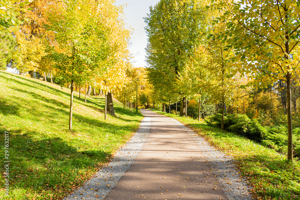 Naklejka premium The path leads in one directions. The way to the autumn park in the centre of the forest.