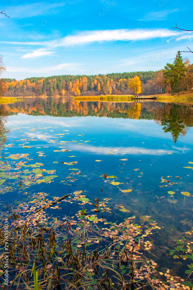 Reflections of Autumn. Beautiful Autumn landscape with lake and calm water, forest with yellow, orange and green trees, October and November background, vertical