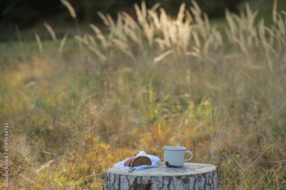 Chocolate with tea on a wooden table. Tea at the stake with waffles and chocolate. Delicious food in the forest. Camping, outdoor recreation. Milk with waffles in the meadow. Mug at the stake Chocolate with tea on a wooden table. Tea at the stake with waffles and chocolate. Delicious food in the forest. Camping, outdoor recreation. Milk with waffles in the meadow. Mug at the stake