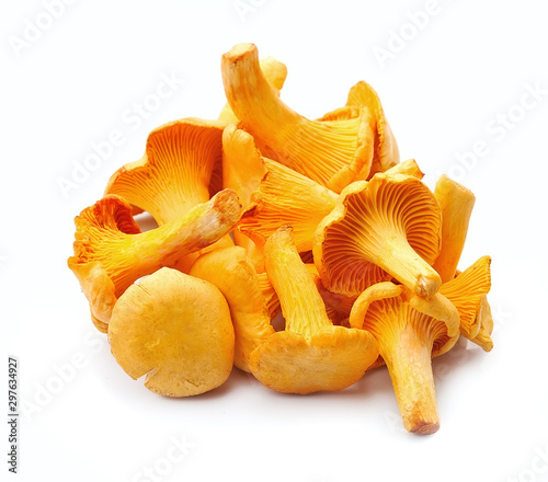 Chanterelle mushrooms isolated on white backgrounds.