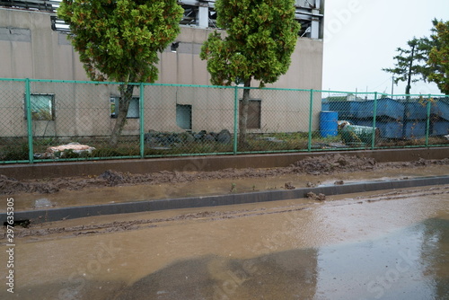 Damage of heavy rain flooding in apple orchard photo