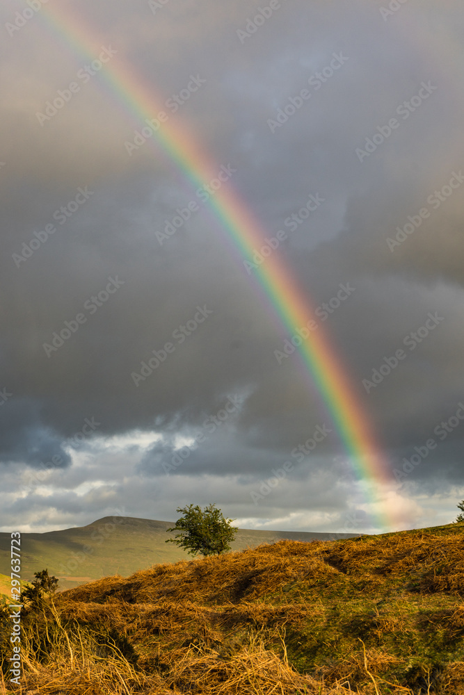 Black Mountain Rainbow