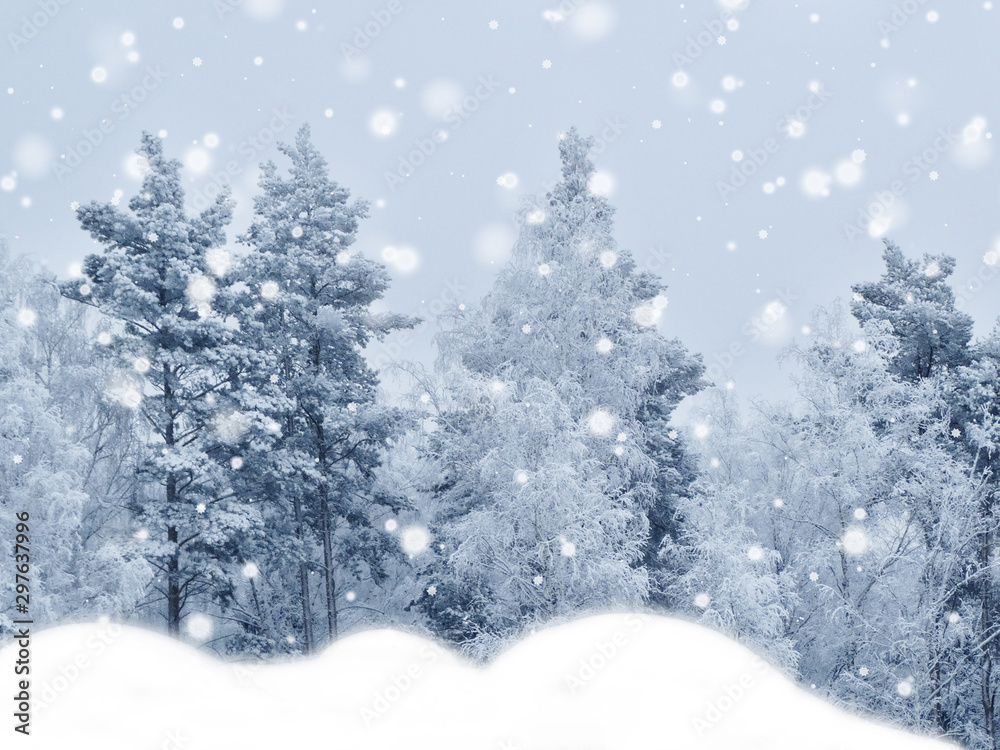 winter christmas background with snow and fir branches frame