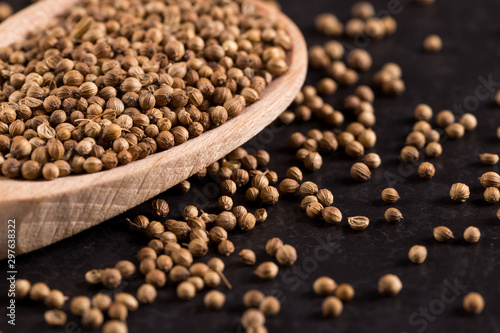 Coriander grains in a wooden spoon are scattered on a black background. Concept, copy space.