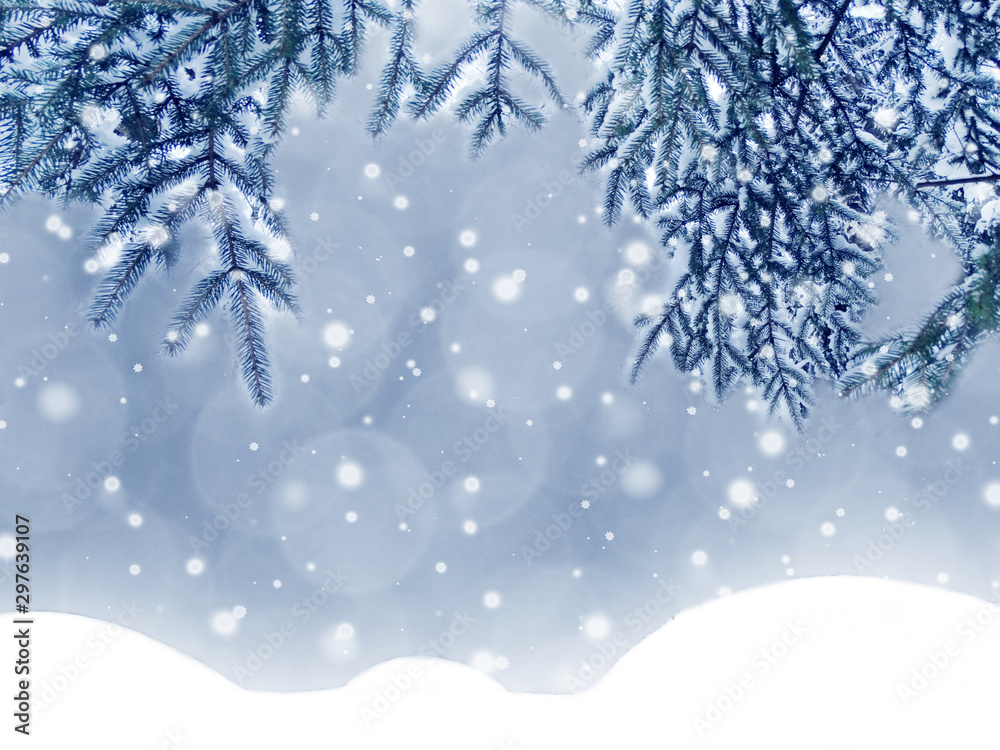 winter christmas background with snow and fir branches frame