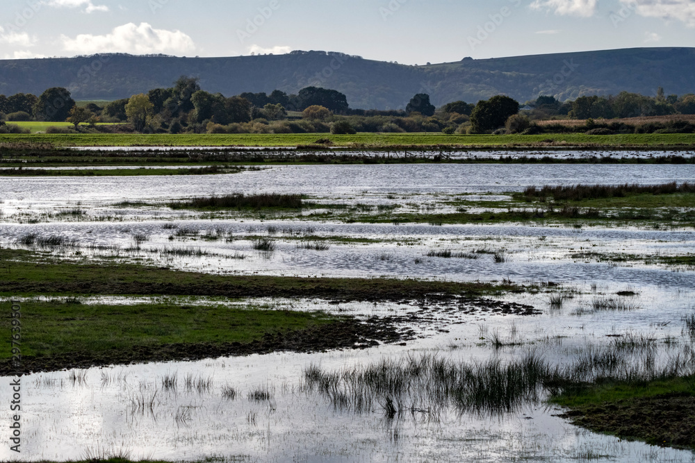 Flooded countryside landscape natural habitat for wildlife
