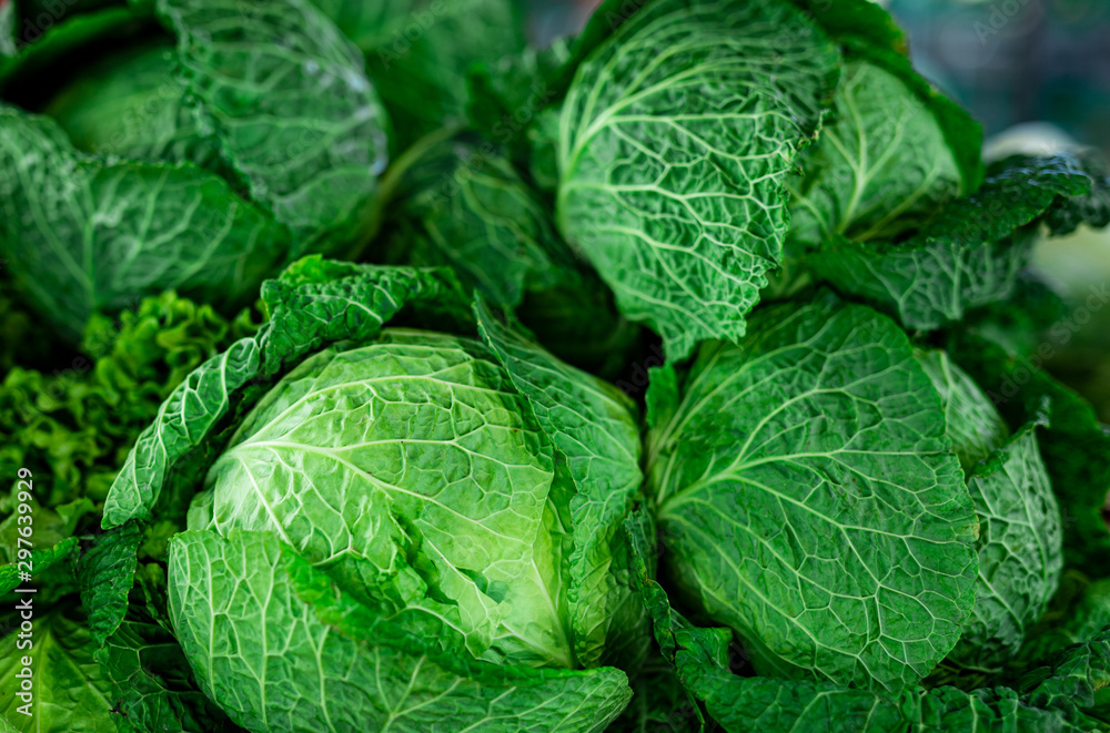 Obraz premium Beautiful picture of fresh green kale