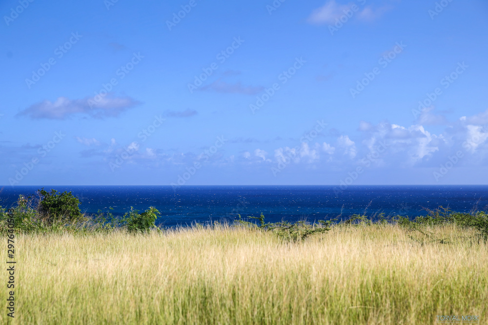 Coastline and beaches of the Caribbean island of Antigua