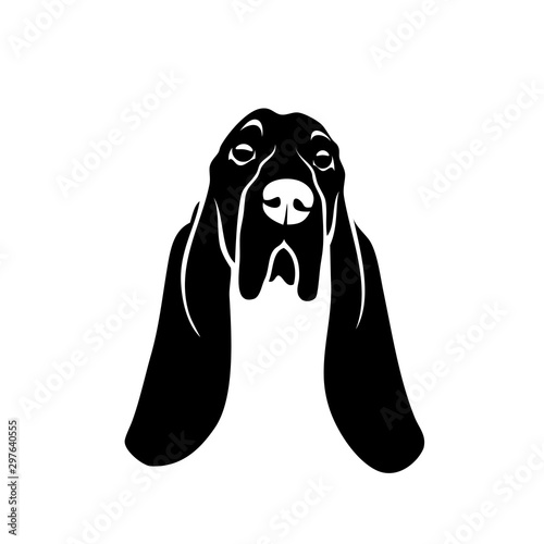 Fotografie, Tablou Basset hound dog - isolated vector illustration