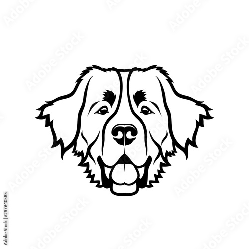 Bernese mountain dog - isolated vector illustration