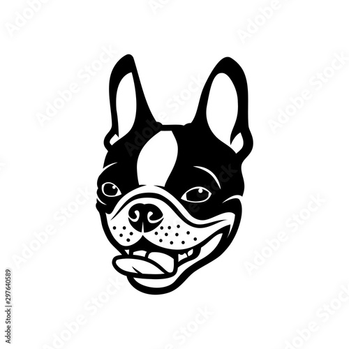 Boston terrier dog - vector illustration