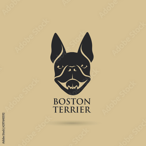 Boston terrier dog - vector illustration