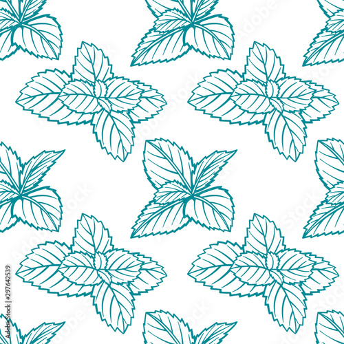 Mint. Peppermint leafs hand drawn seamless pattern. Mint leafs sketch drawing endless texture.