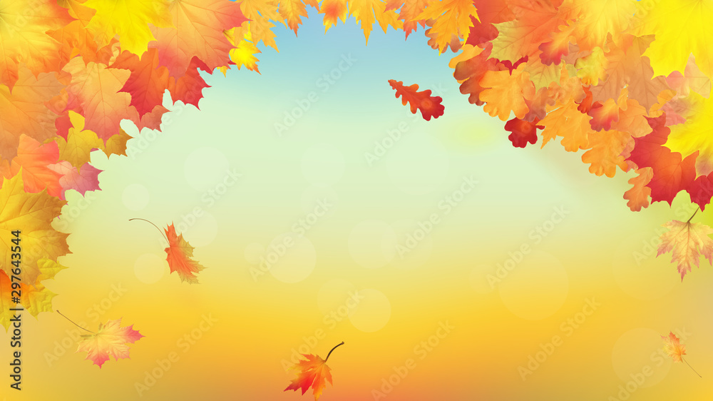 Autumn background with golden maple and oak leaves