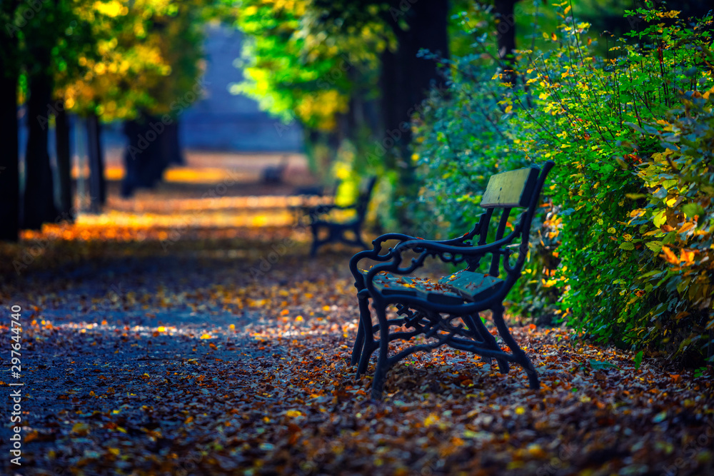bench in autumn park 