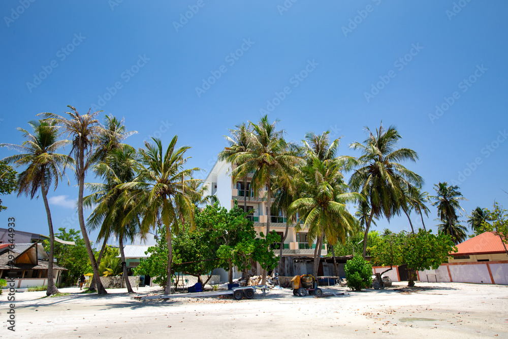 Naklejka premium Tropical town with coconut palm trees and typical houses