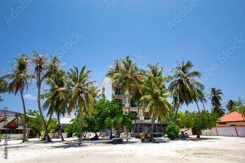 Tropical town with coconut palm trees and typical houses