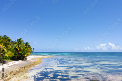 Fototapeta Naklejka Na Ścianę i Meble -  Aerial view on tropical island with coconut palm trees and turquoise caribbean sea