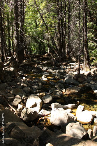 Vertical photo of a mountain stream running thru the forest and round granite stones