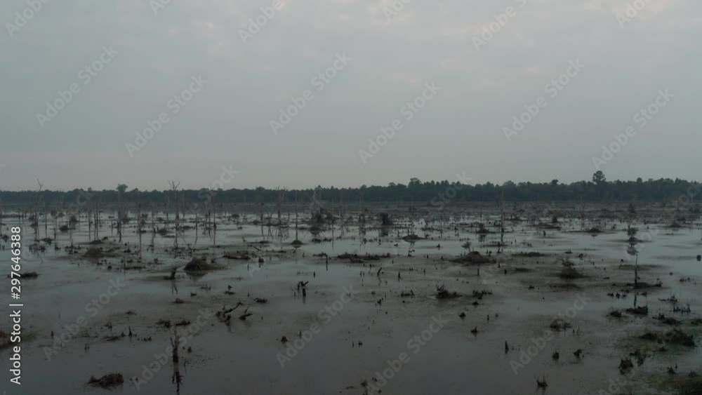 Lake with old trees sticking out of the water in Cambodia near ancient Angkor Wat Temple Ruin Complex sunrise drone 4k Lake with old trees sticking out of the water in Cambodia near ancient Angkor Wat Temple Ruin Complex sunrise drone 4k