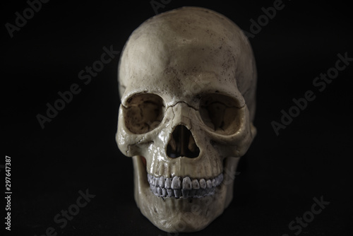 human anatomical skull, on black background