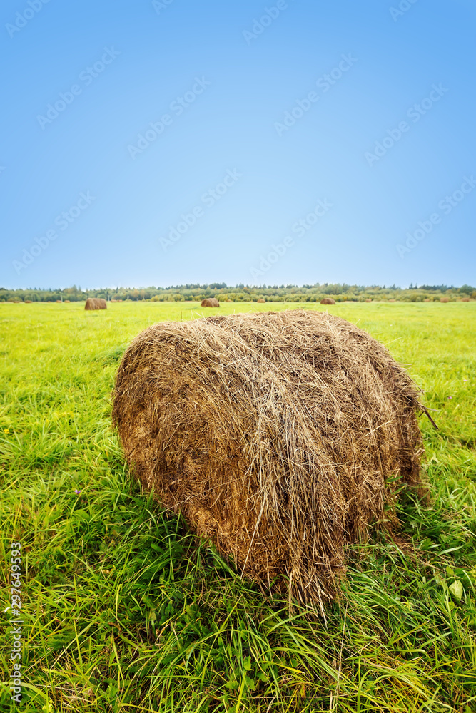 Farm field with haystack at autumn Farm field with haystack at autumn