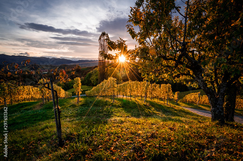 Herbstlandschaft Panorama an der Südsteirischen Weinstrasse bei Sonnenuntergang