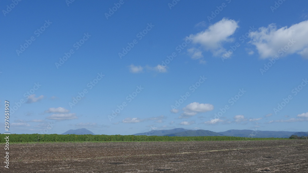 Obraz premium 青空と大地