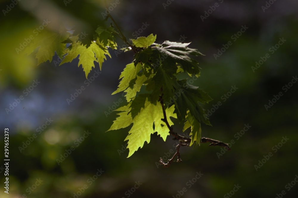 The majestic nature of the island of Crete, eastern Mediterranean The majestic nature of the island of Crete, eastern Mediterranean