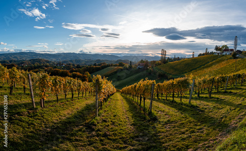 Herbstlandschaft Panorama an der S  dsteirischen Weinstrasse 