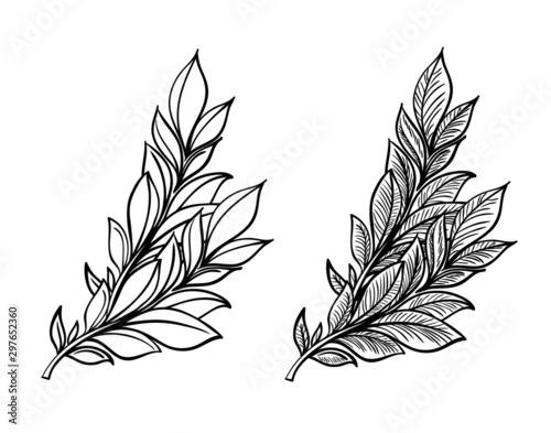 Hand sketched vector vintage elements ( laurels, frames, leaves, flowers, swirls, feathers). Wild and free. Perfect for invitations, greeting cards, quotes, blogs, posters.