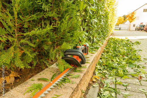 electric hedge trimmer on the wooden terrace with cherry floor berry