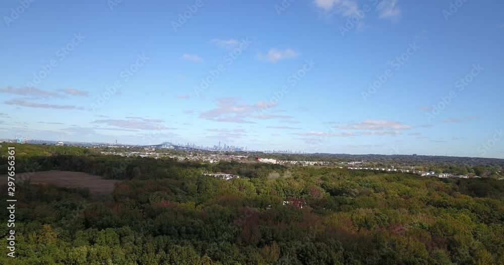 Drone over forest with NY skyline and bridge Drone over forest with NY skyline and bridge