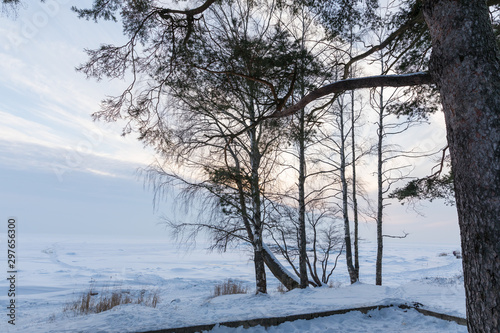 winter landscape © oleg