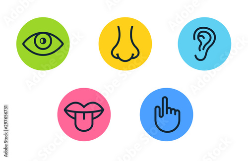 Five human senses vision eye, smell nose, hearing ear, touch hand, taste mouth and tongue. Line vector icons set